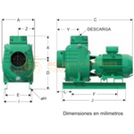 AE6100-1 BOMBA CENTRIFUGA HORIZONTAL AUTOCEBANTE MARCA WDM