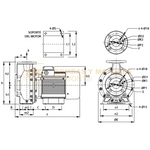 SOX 1 1/4 BOMBA CENTRIFUGA DE ACERO INOXIDABLE DE 1.5 A 3 H.P. MARCA BARNES