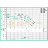 HE1.550 BOMBA CENTRIFUGA HORIZONTAL DE ALTA PRESION MARCA WDM