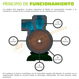 T-9SM BOMBA CENTRIFUGA HORIZONTAL TIPO TURBINA REGENERATIVA DE ACOPLAMIENTO UNIVERSAL SERIE T EN ACERO INOXIDABLE MARCA SENTINEL